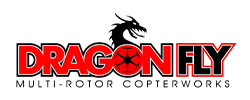 dragonfly2.png